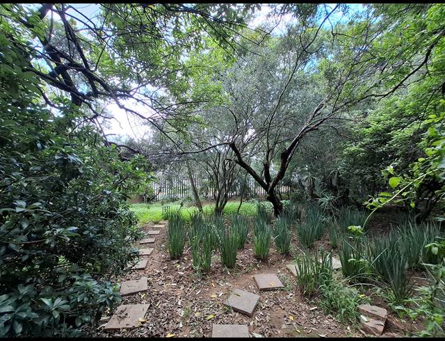 1,526M² VACANT LAND FOR SALE IN BRYANSTON EAST